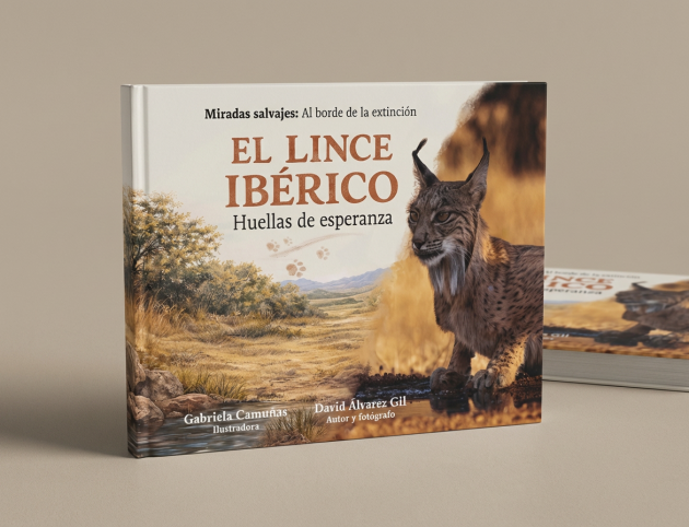 hf_20260216_220552_b3e43918-6e62-4d5d-aaf9-d343a5aa3872